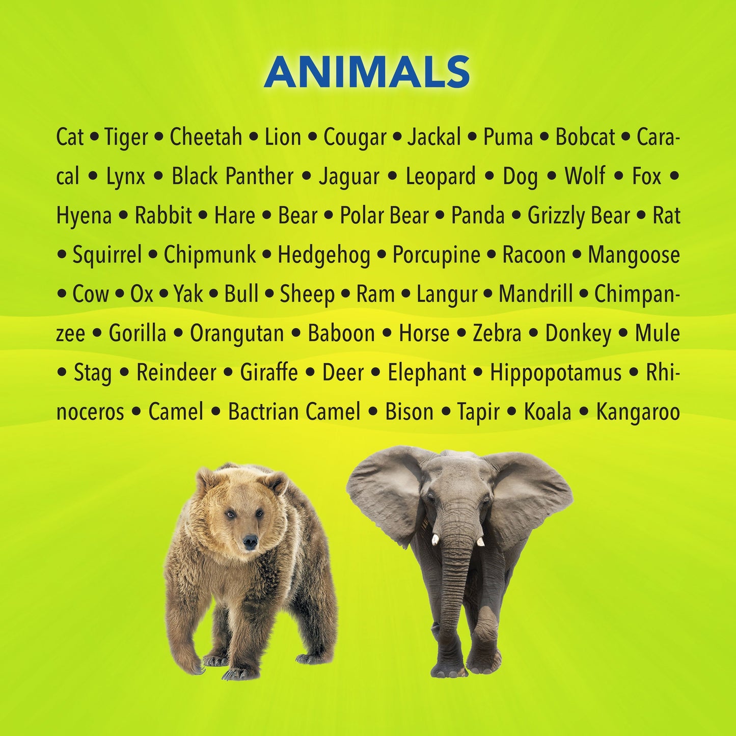 Animals-Tamil