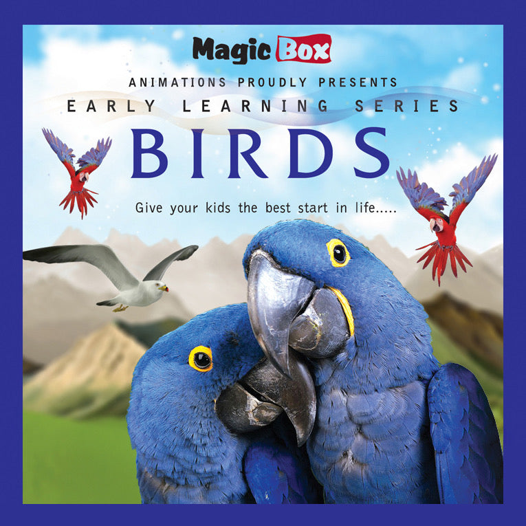 Birds-English