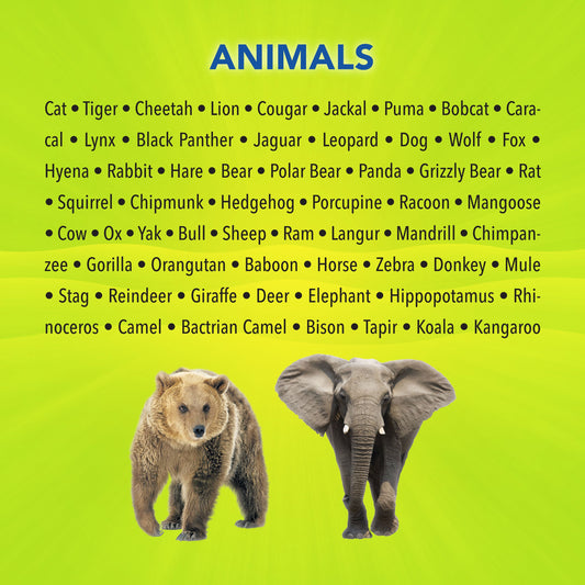 Animals-English