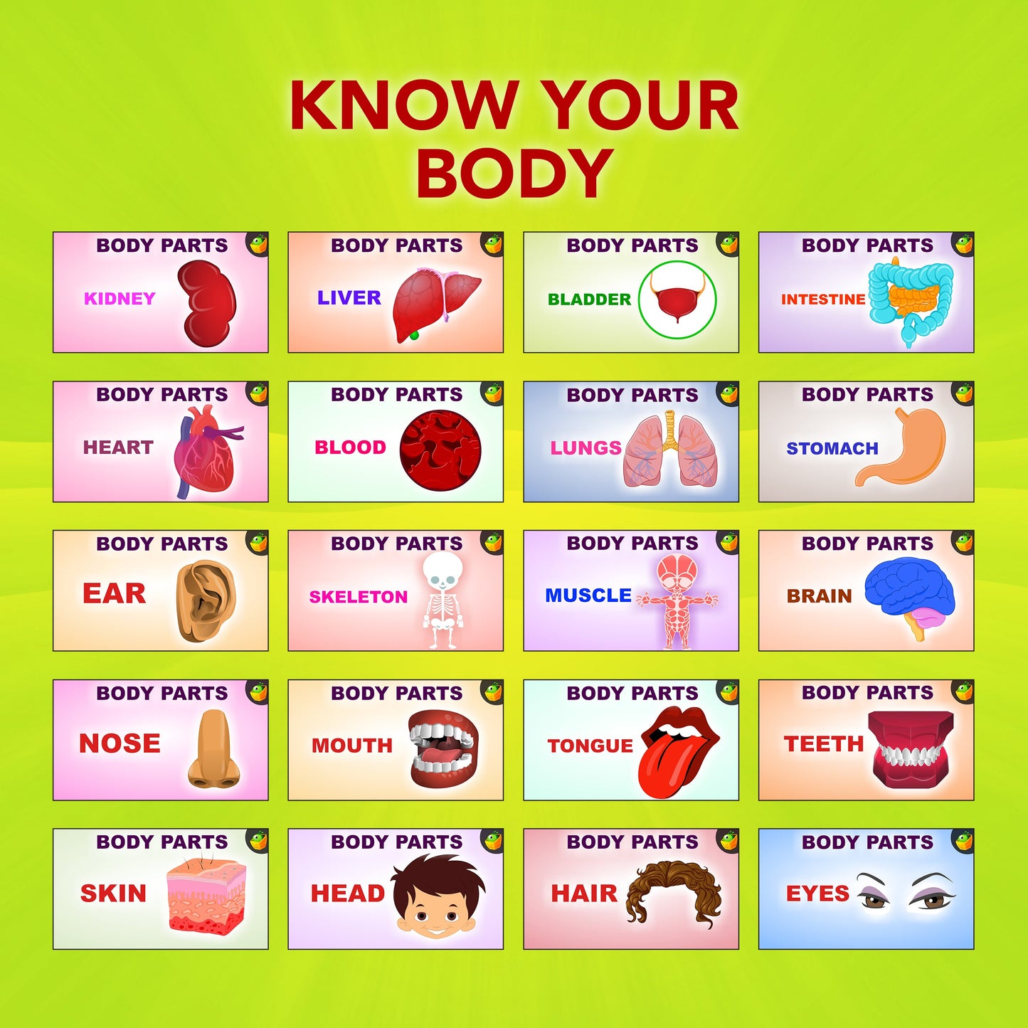 Know Your Body-Malayalam