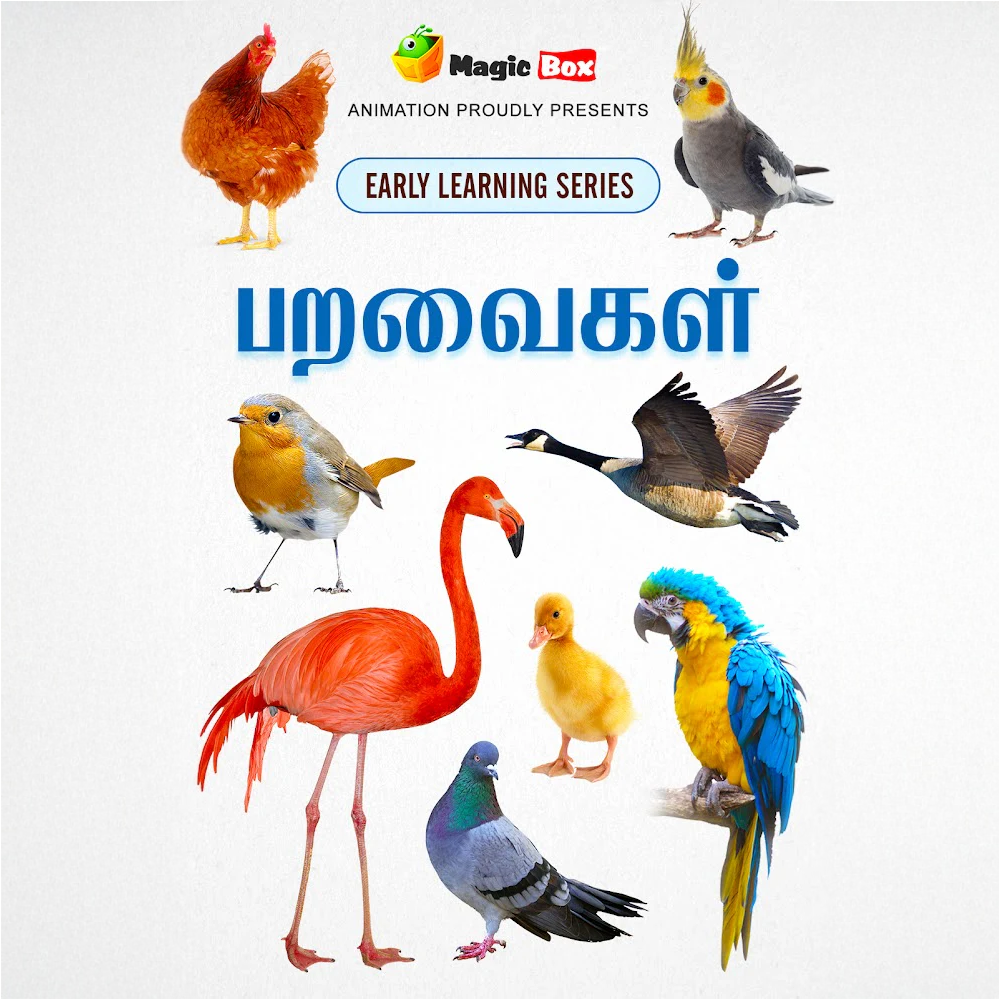 Birds-Tamil