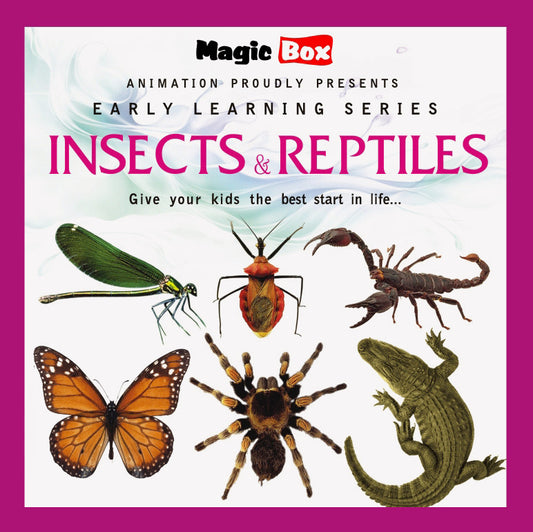Insects and Reptiles