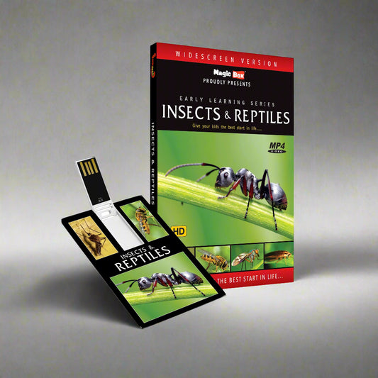 Insects and Reptiles