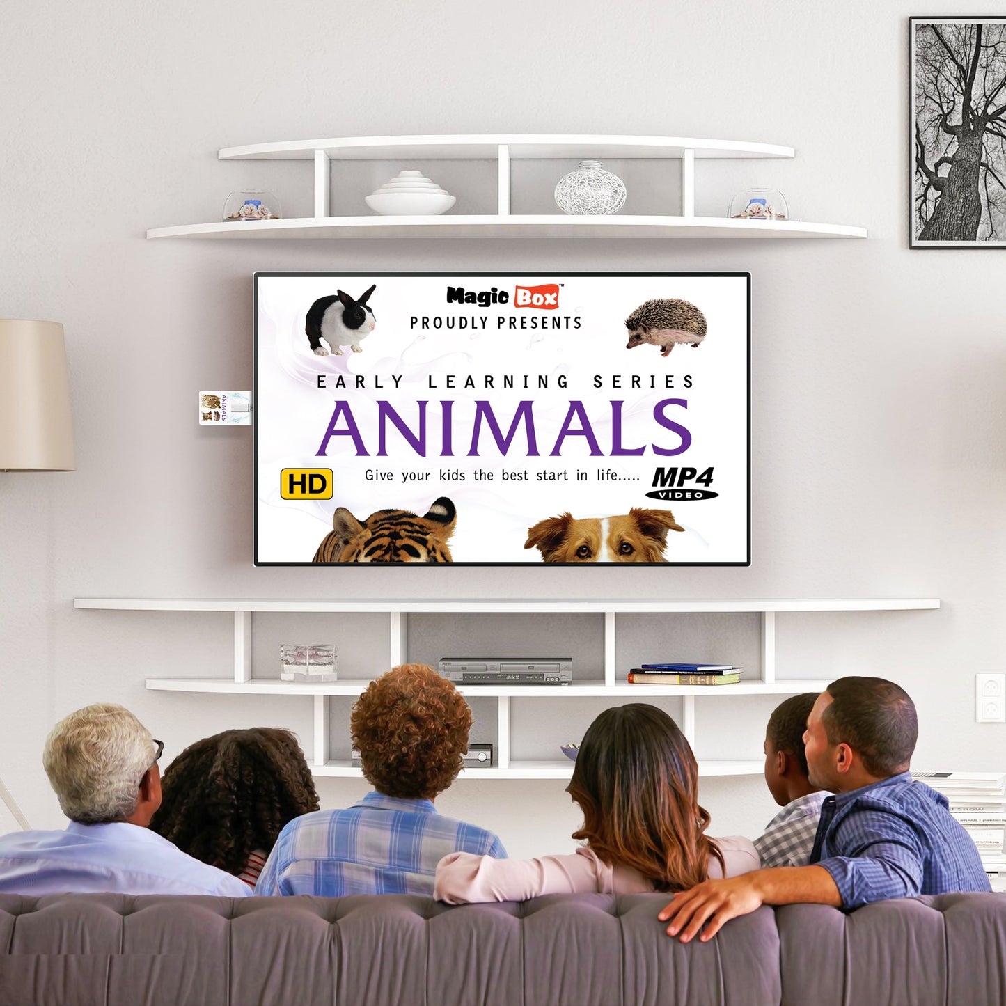 Animals-English