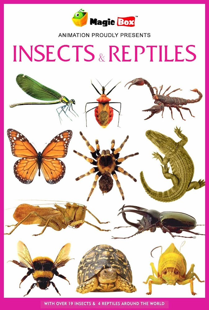 Insects and Reptiles – Magicbox