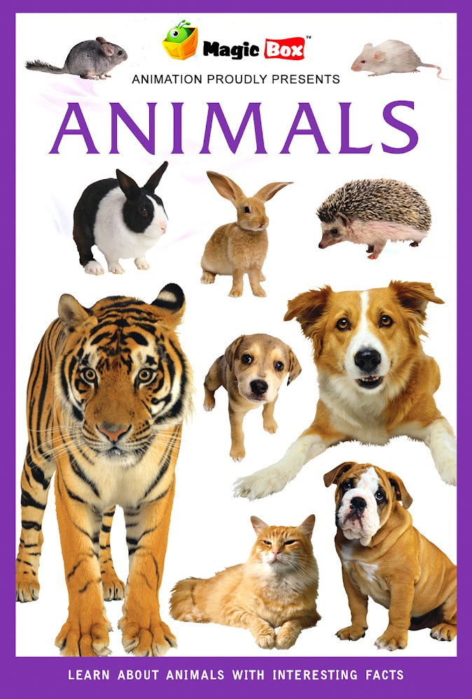 Animals-English