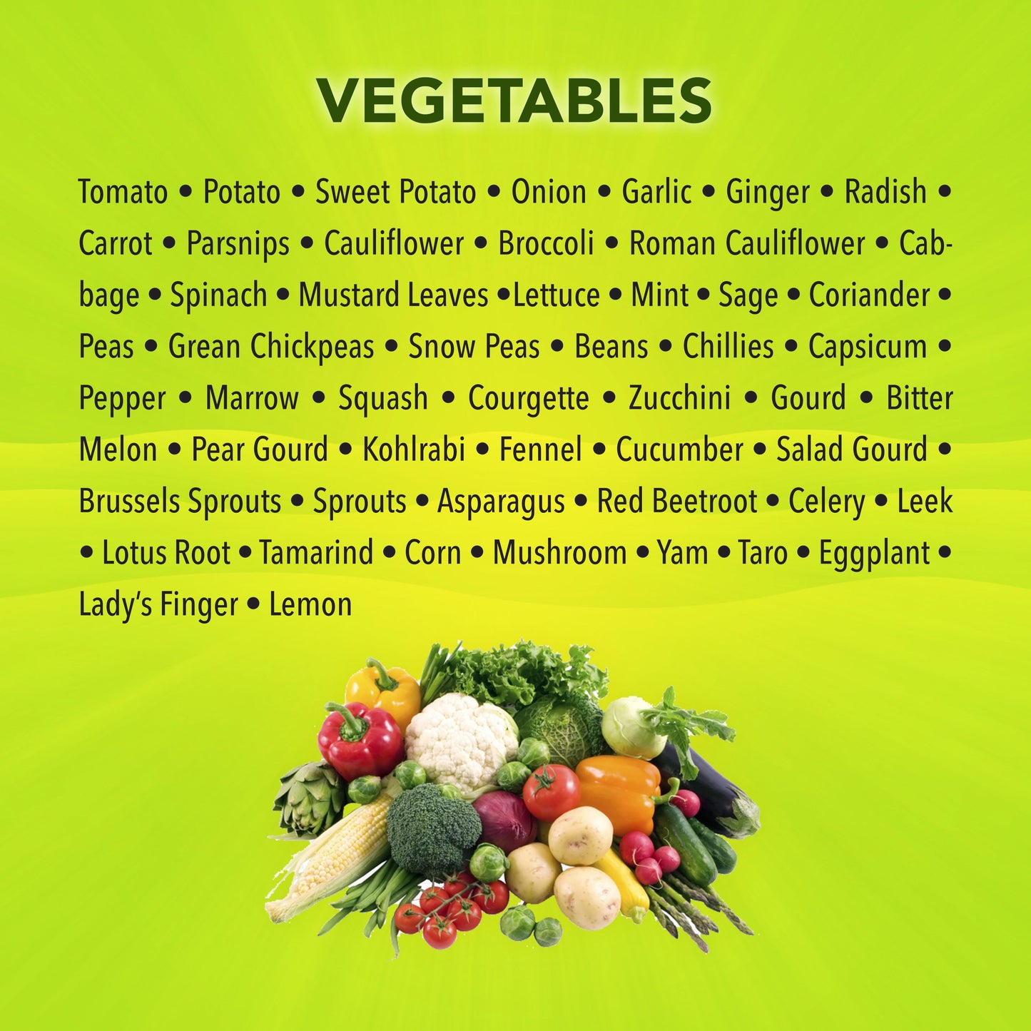 Vegetables-English